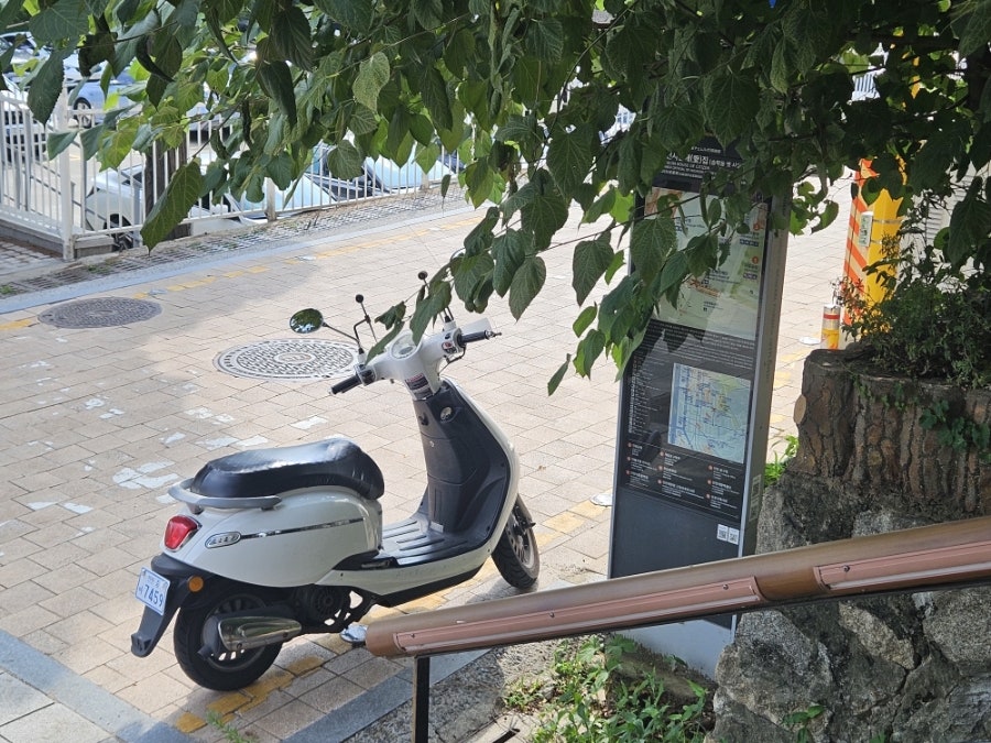 보눔 사진 2