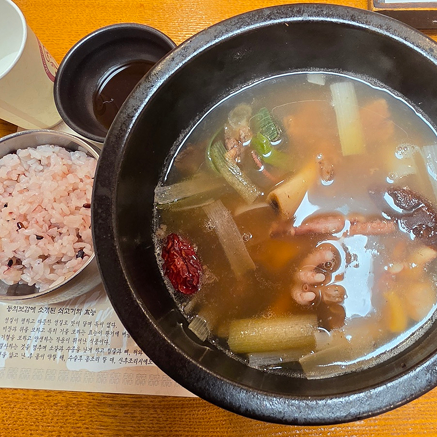고미정 사진 4