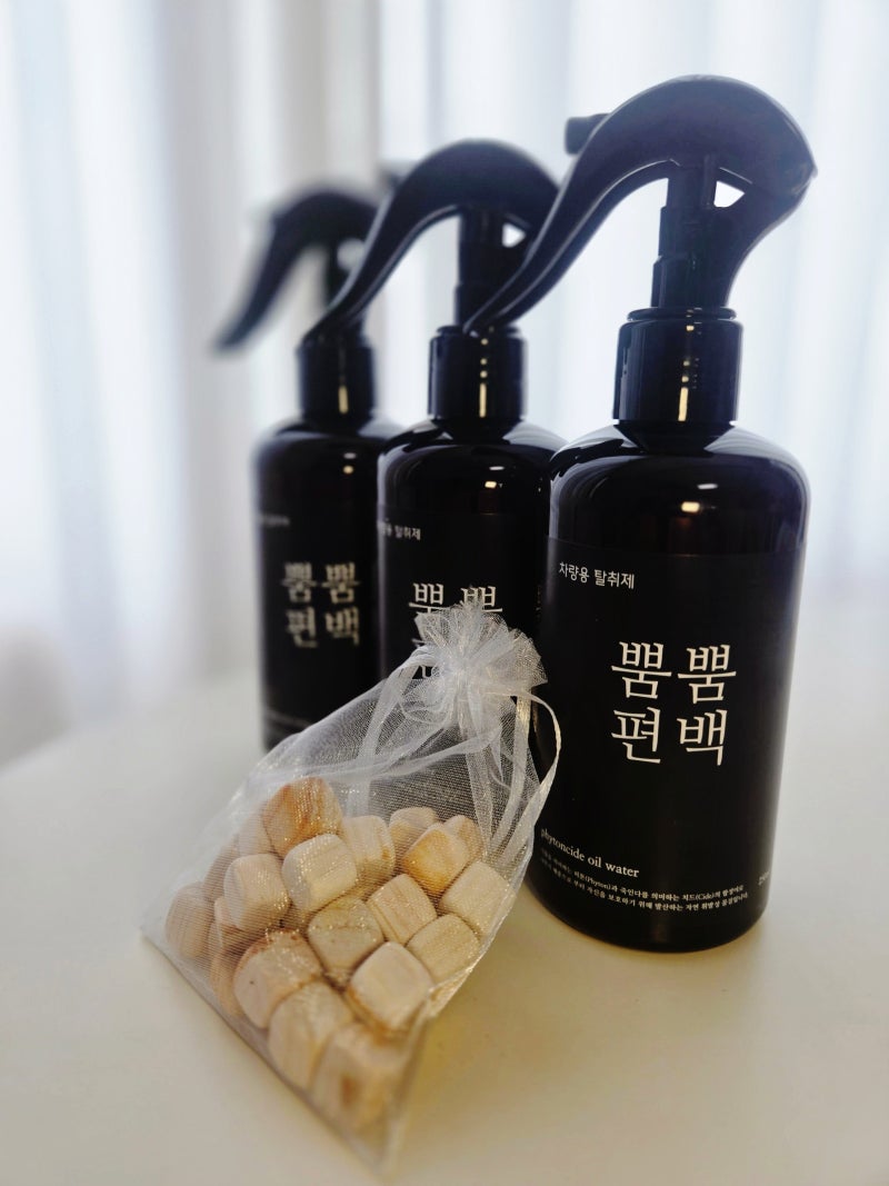 차량 에어컨 냄새 해결 편백 차량용 탈취제 직접 써본 후기