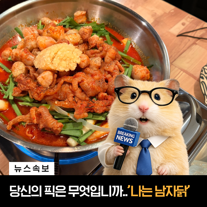 나는남자닭 사진 1
