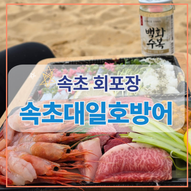 내돈내산 속초 중앙시장 회포장 찐추천 | 포장전문 속초대일호방어