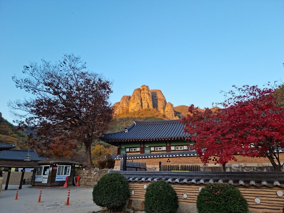 주산 사진 5