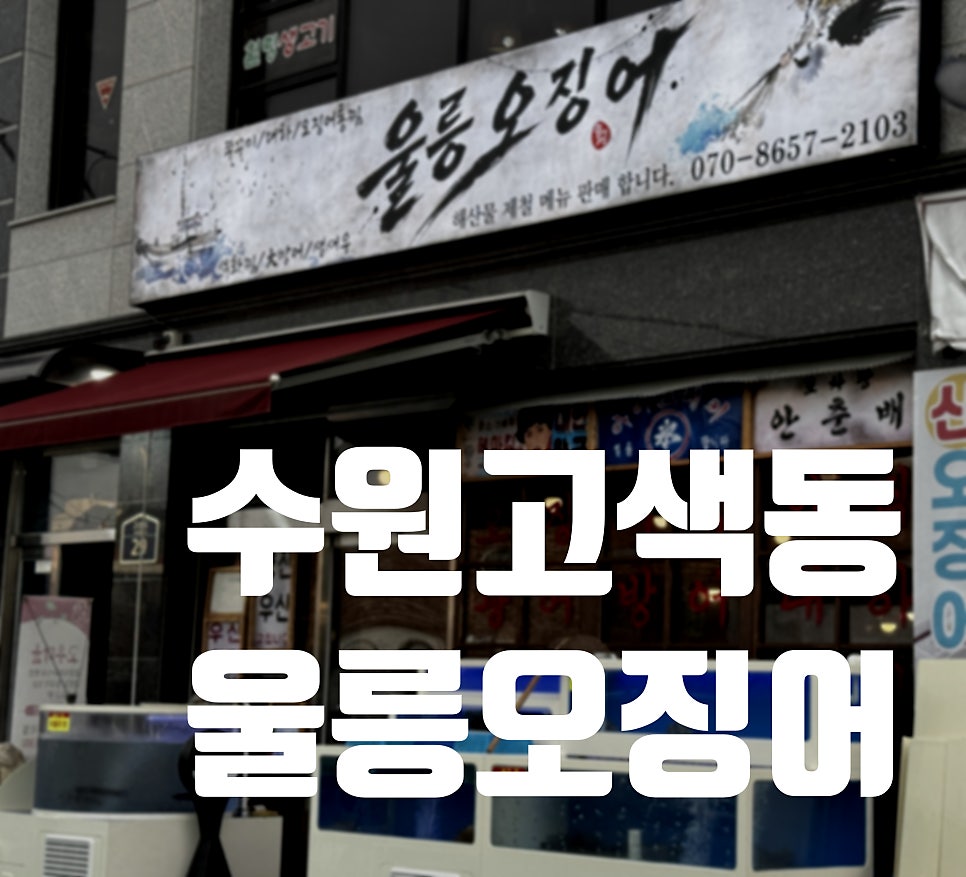 울릉오징어 사진 2