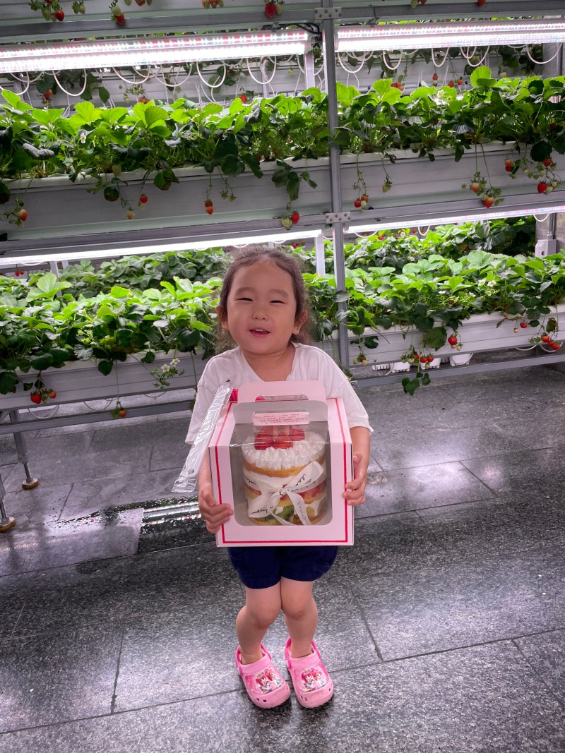 [대전 서구] 대전팜 모던 / 아이와 함께 대전 가볼만한 곳 대전 체험학습