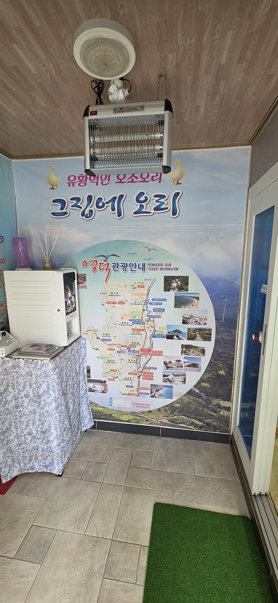 그집에오리 사진 5