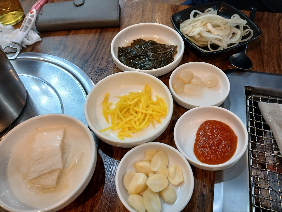 장군장어 사진 4