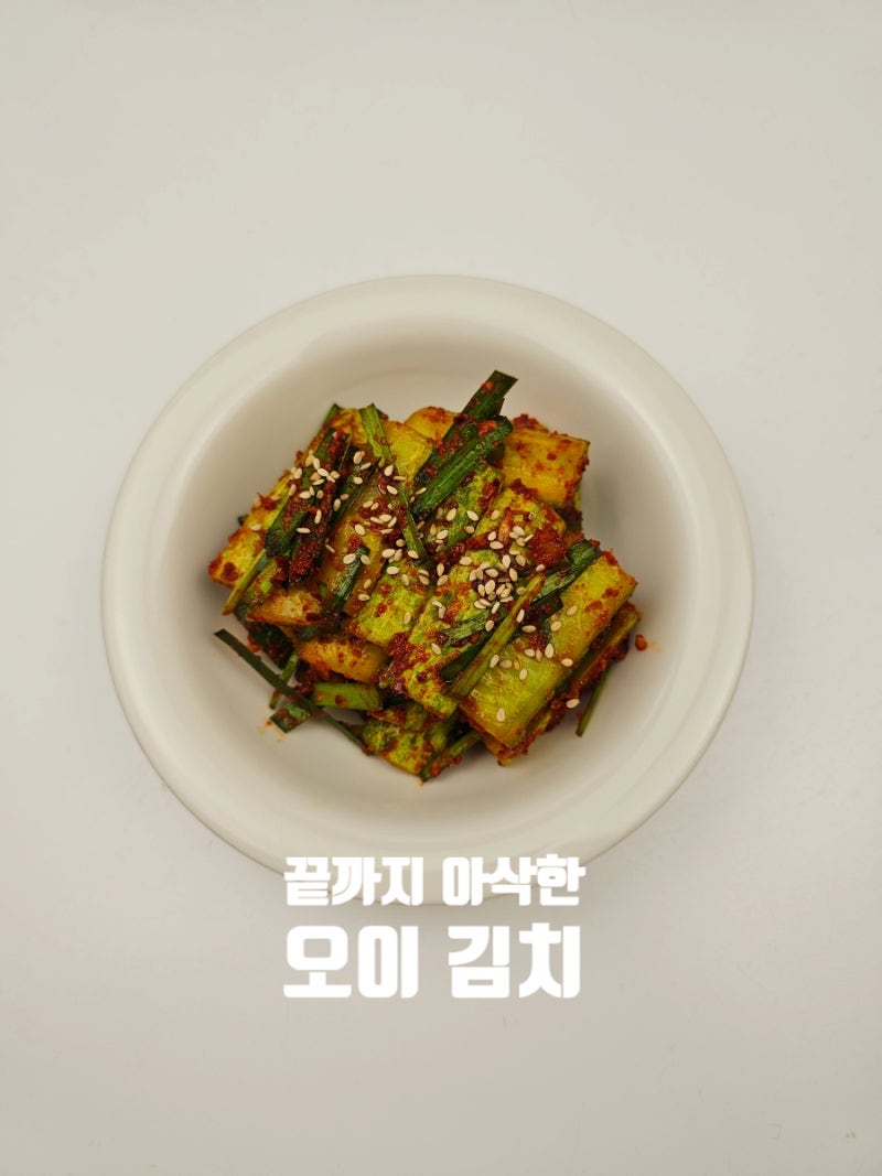 부추 오이김치 황금 레시피 담그기 담그는 법