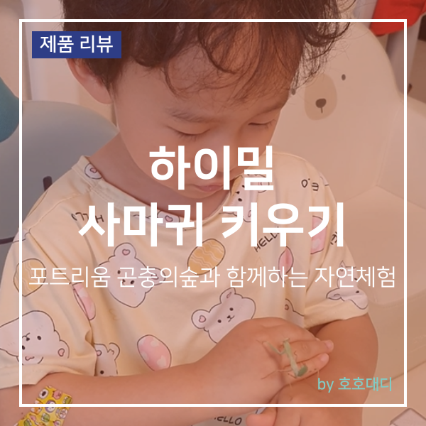 하이밀 사마귀키우기 체험 아이랑 곤충의숲 직접 꾸며본 후기