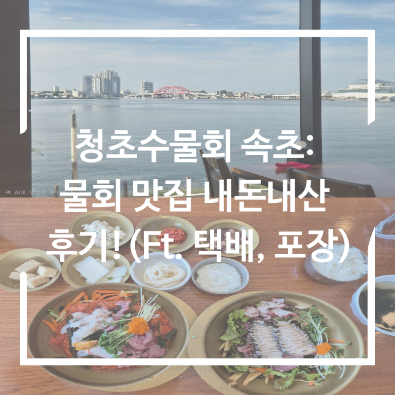 청초수물회 속초: 물회 맛집 솔직 후기(Ft. 현지인, 택배, 포장)