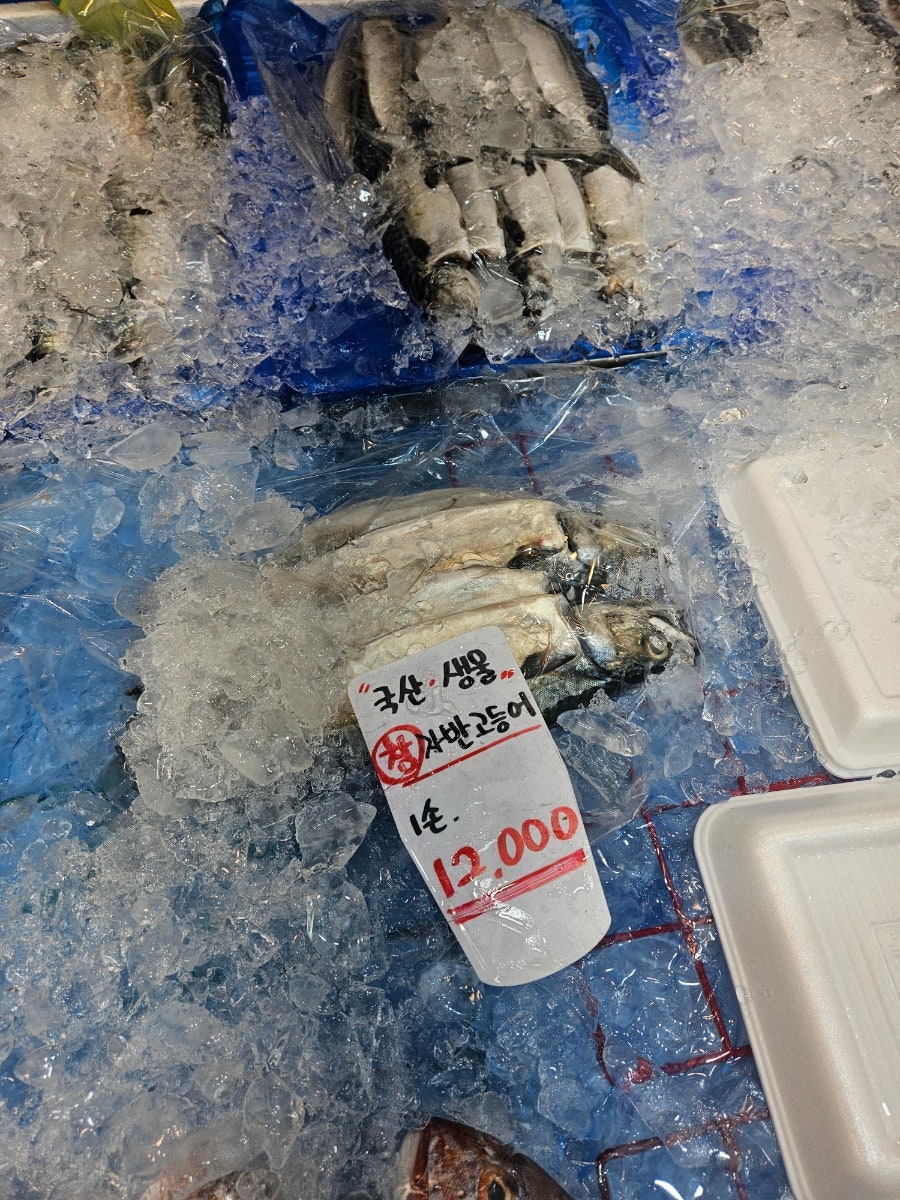 제일수산 사진 1