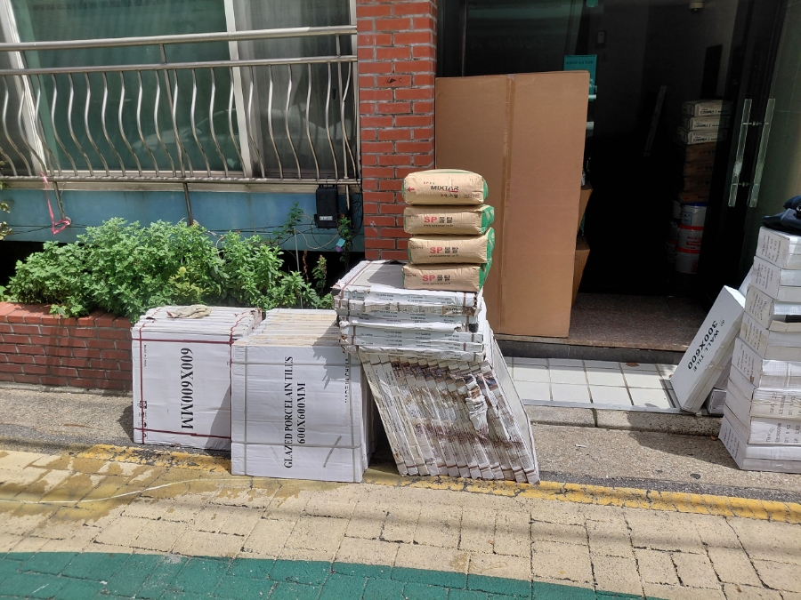 코끼리 사진 3