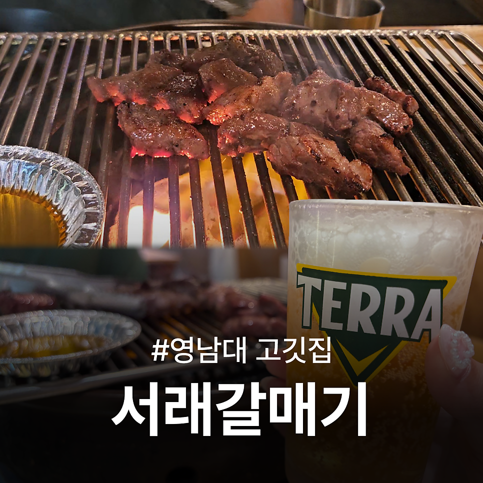 서래갈매기 영남대점 사진 1