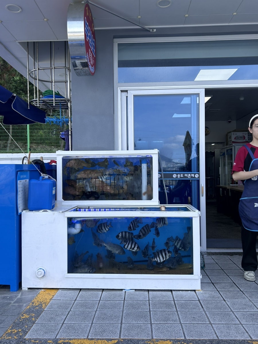 부라보횟집 사진 2