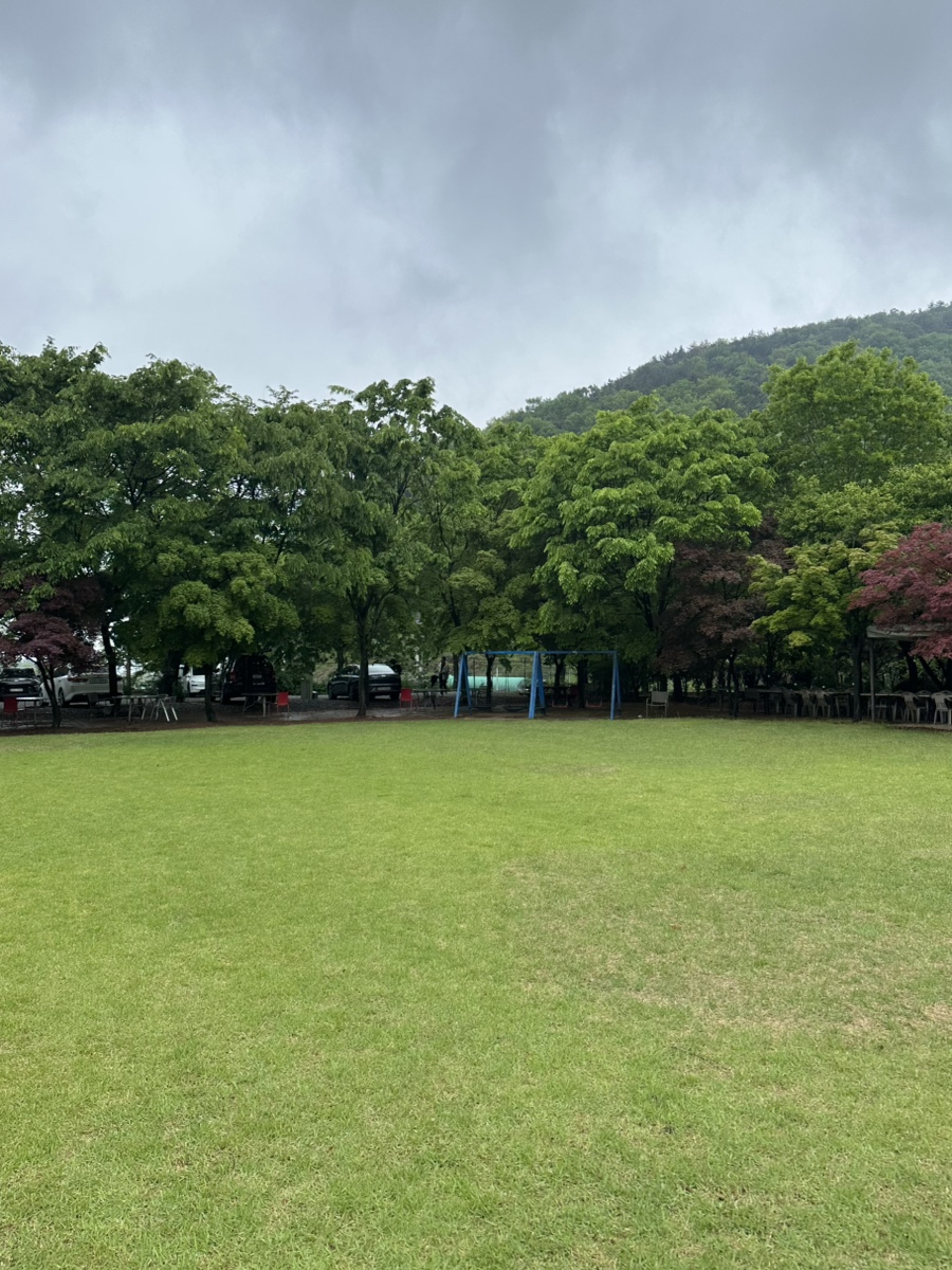 리원 사진 5