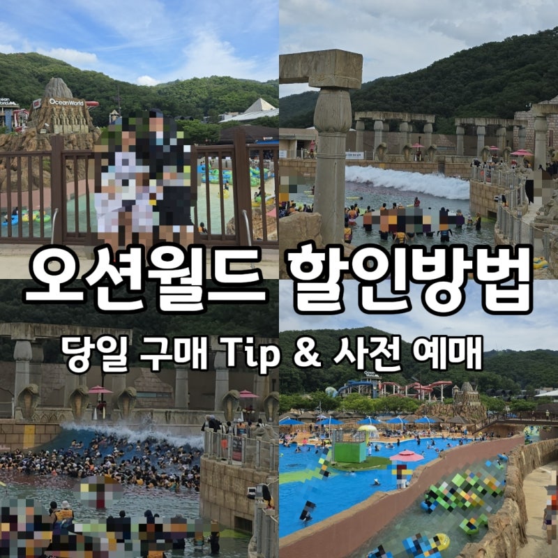 오션월드 할인 방법 총정리 + 당일 할인권 구입 후기 (7월 11일 방문)