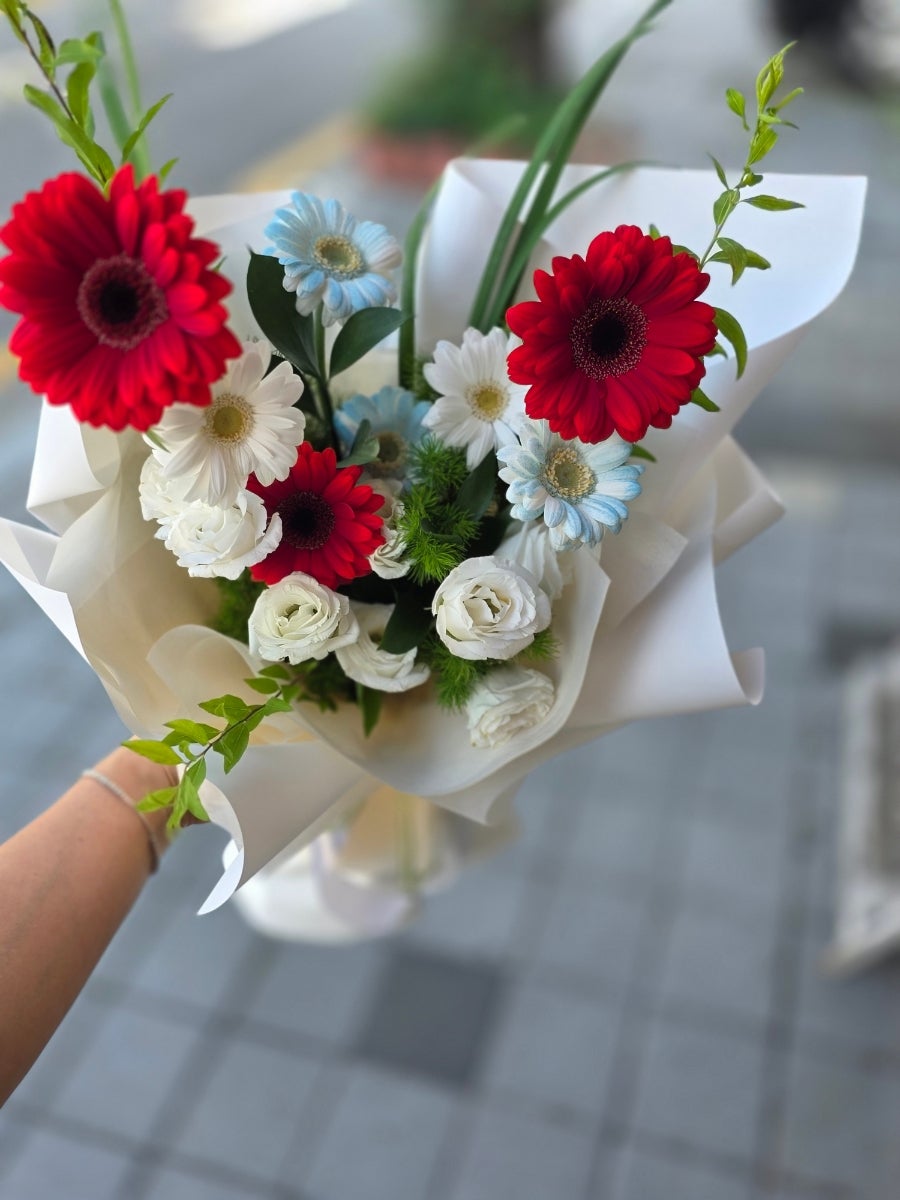 거베라 사진 5
