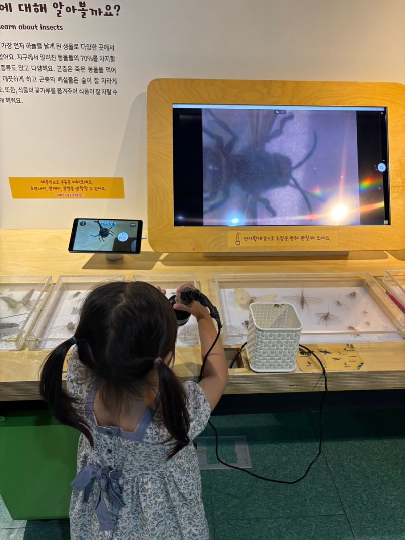 혜화 '국립어린이과학관' 상설전시만으로도 즐겁게 놀다온 후기 (직원분께 예상 못 한 선물 ....