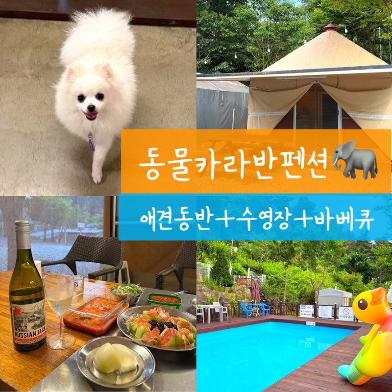 가평 글램핑 동물카라반펜션, 아침고요수목원 애견동반 가능한 숙소