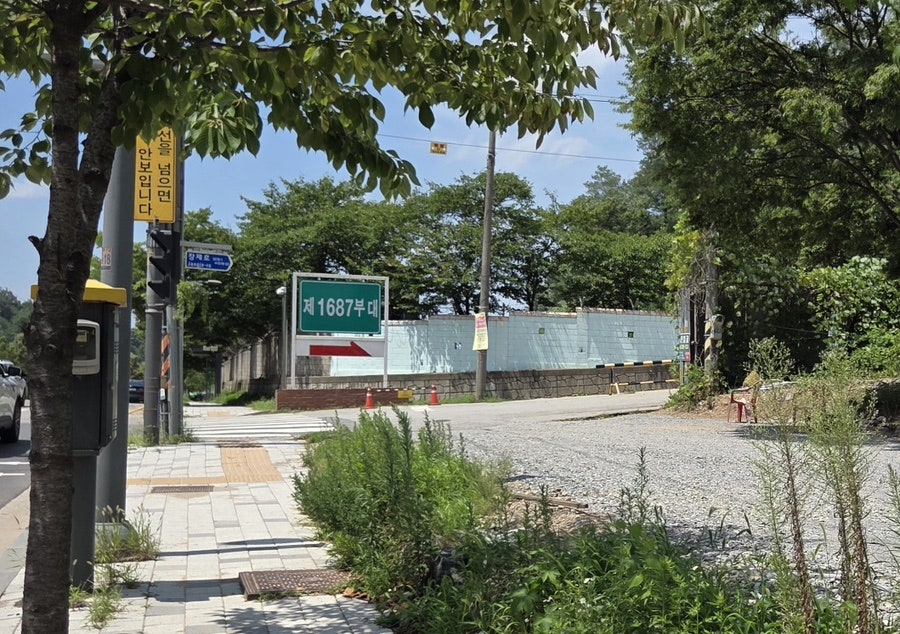 풍천민물장어 사진 5