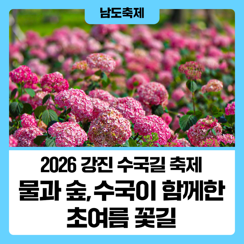 꽃길 사진 1