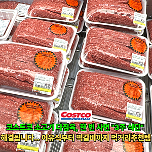 활용도 너무 좋은 코스트코 소고기 다짐육 이유식부터 떡갈비, 미트볼까지 먹거리추천템 3가....