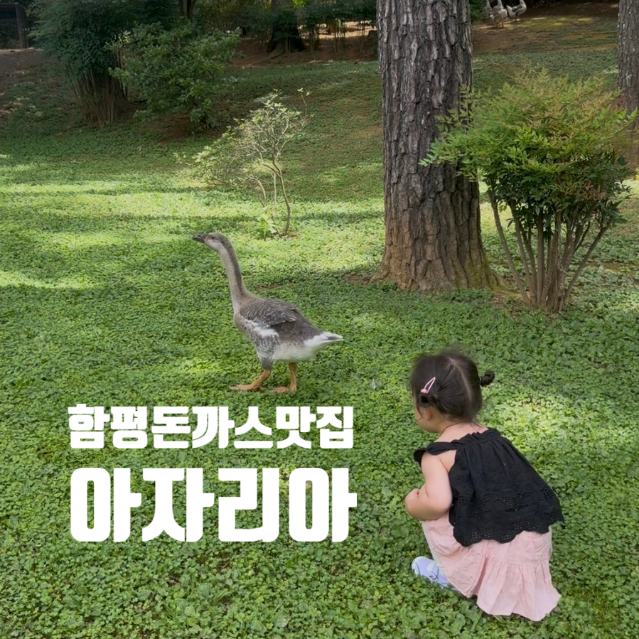 아자리아 사진 1