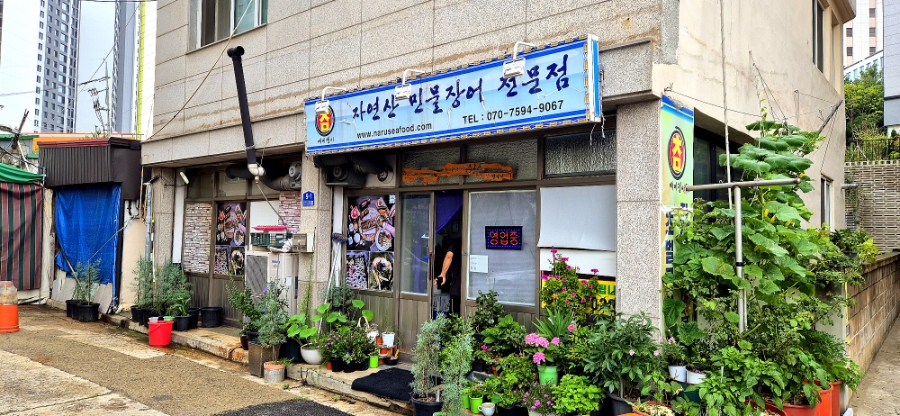 배미쟁이 사진 2