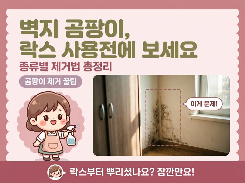 벽지 곰팡이 제거 방법 총정리 락스 쓰기 전에 '꼭' 보세요