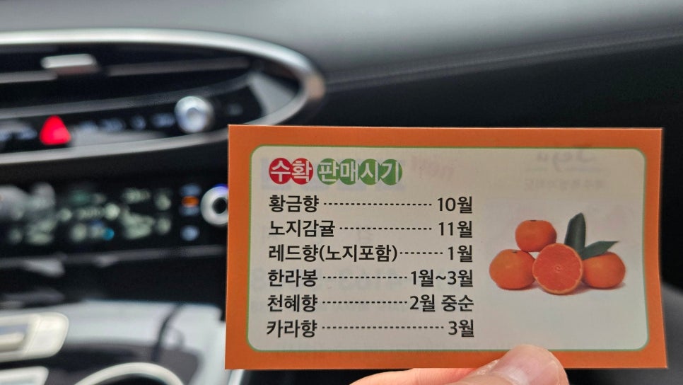 쥐구멍 사진 2