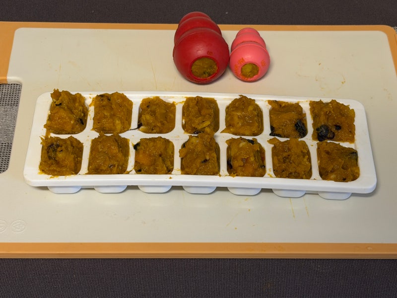 분리불안 강아지 콩토이 2탄, 여름철 강아지 아이스크림 보양식 [초간단 수제 간식]