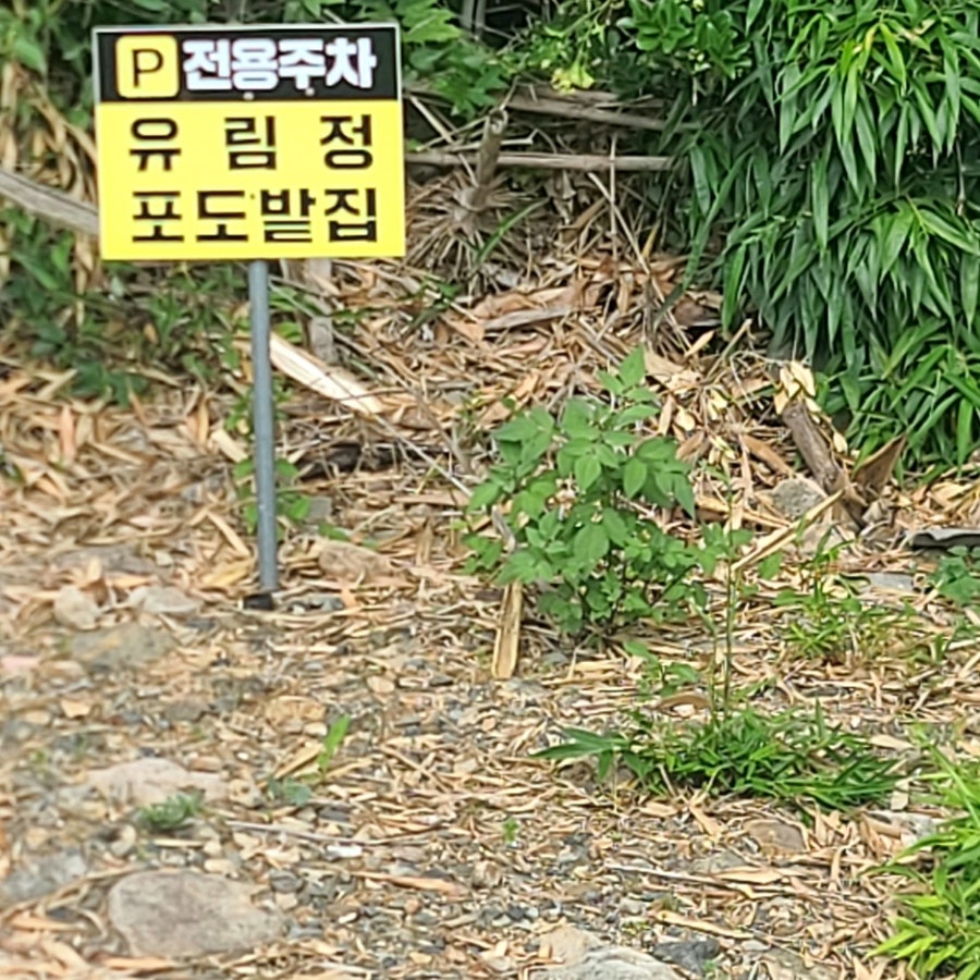 포도밭집 사진 2