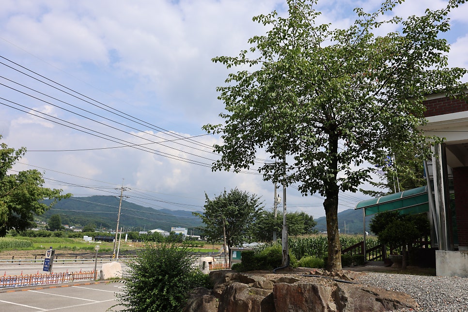 우천파출소 사진 6
