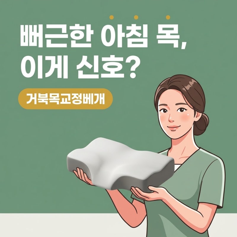 거북목교정베개, 매일 아침 목이 뻐근하다면 점검해야 할 3가지 기준