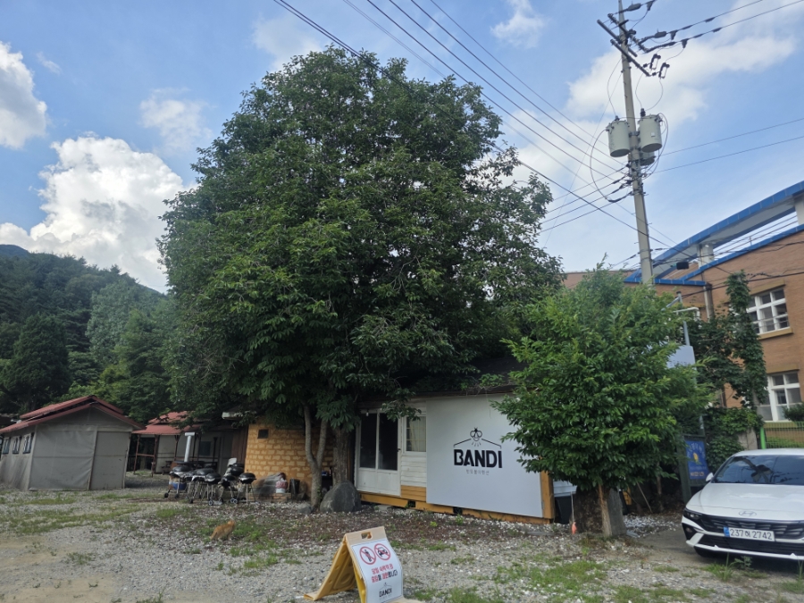 반딧불이펜션 사진 1