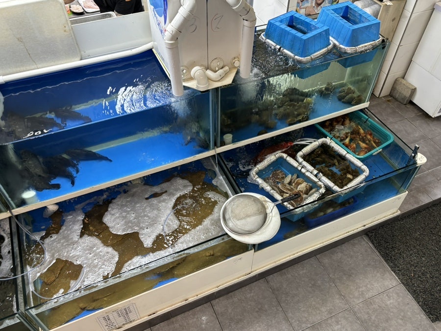 초장집 사진 6
