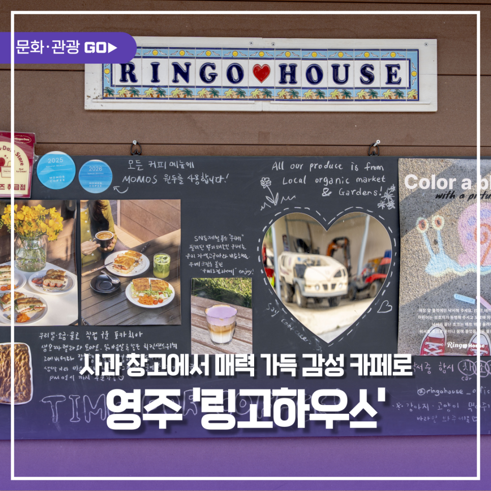 링고하우스 사진 1