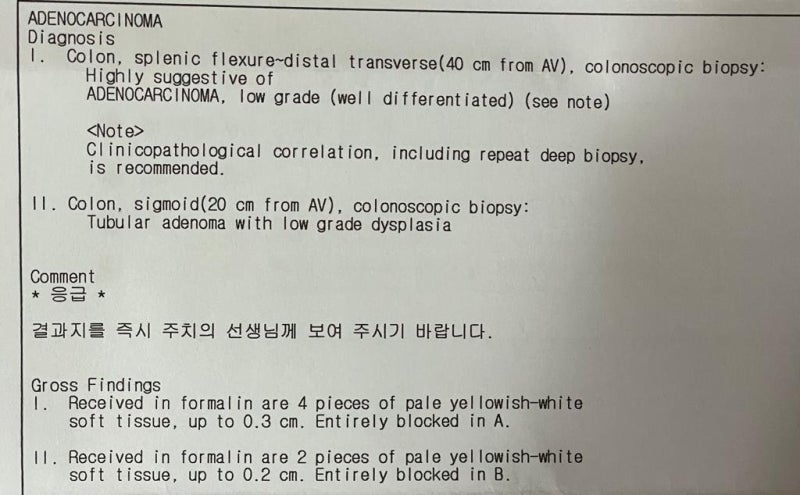 D01 대장 제자리암 보험금 받을 수 있을까? D12와 무엇이 다를까? 실제 지급 사례·약관·분쟁 ....