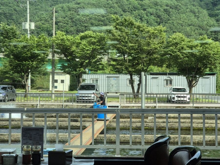 옥동양어장횟집 사진 3