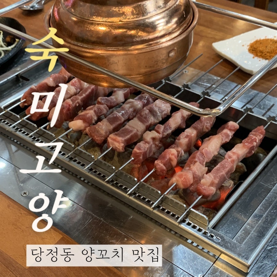 숙미고양 사진 1
