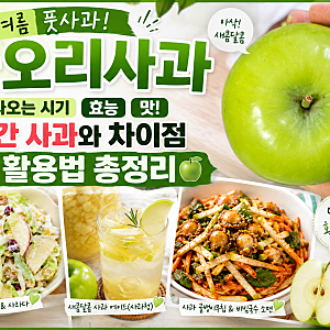 여름 풋사과 아오리사과 나오는 시기 효능 맛! 빨간 사과와 차이점 요리 활용법 총정리
