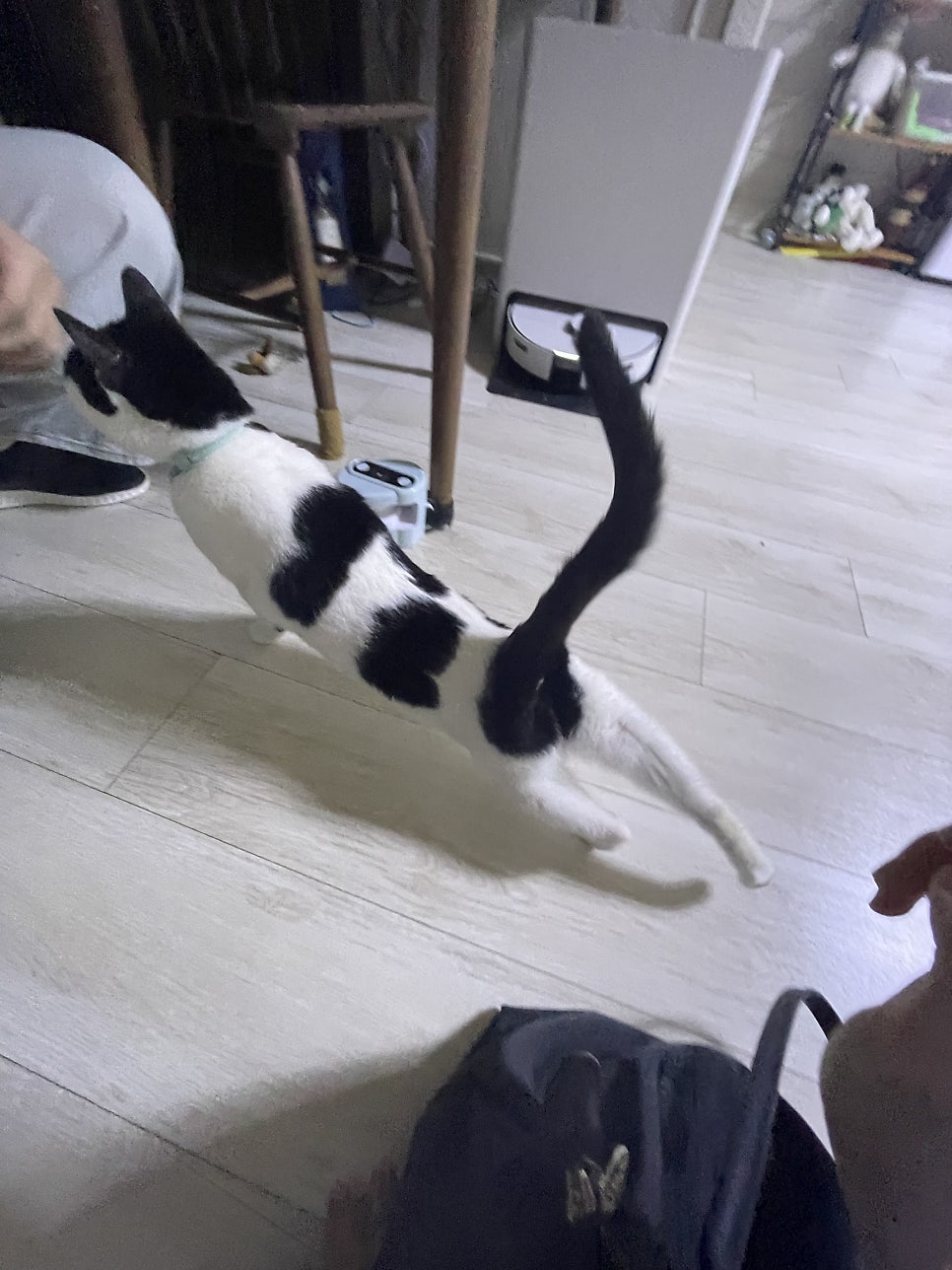 백온신당 사진 6