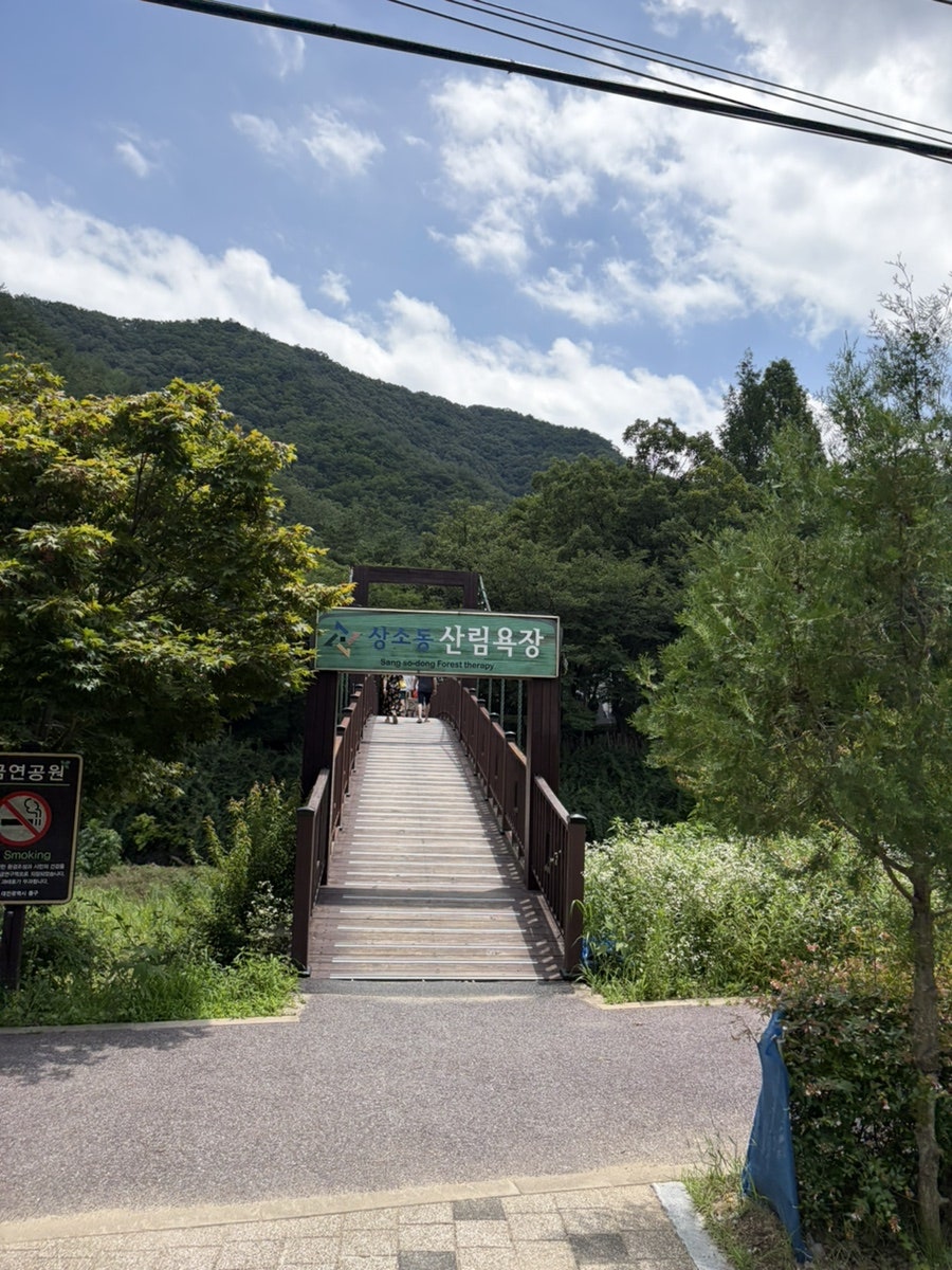 상소동산림욕장 사진 4