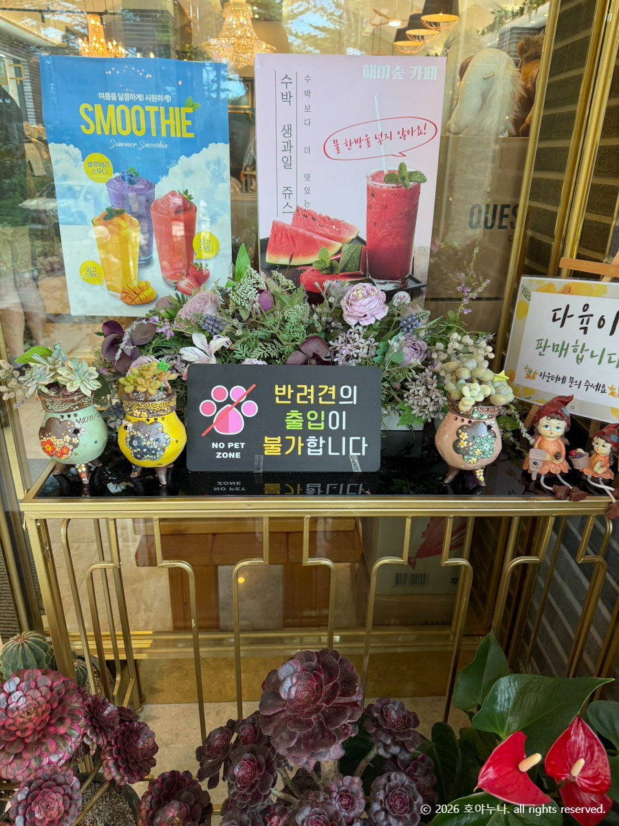 해미숲 카페 사진 6