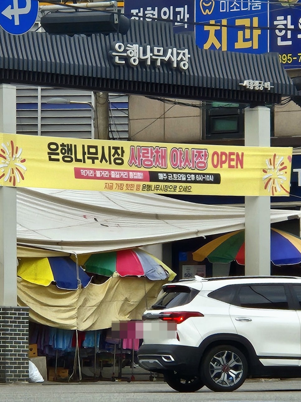 은행나무 사진 1