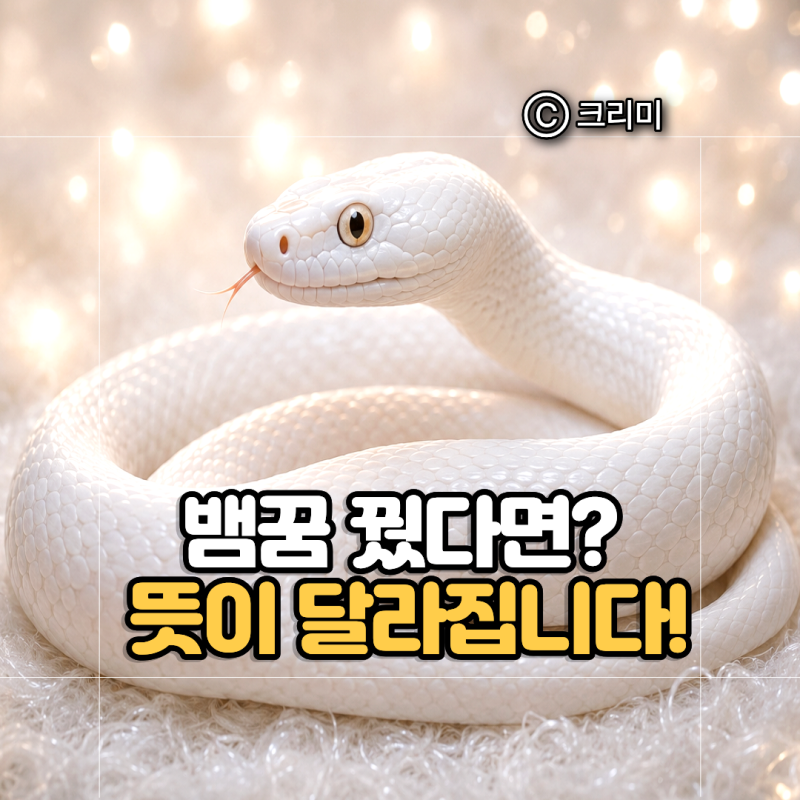 뱀꿈 해몽｜큰 뱀꿈·물리는 꿈·집에 들어오는 꿈·태몽 의미까지