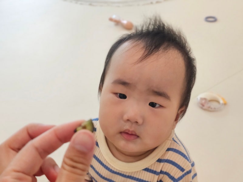 아기 블루베리 언제부터? 먹는시기 권장량 아기간식 꿀팁