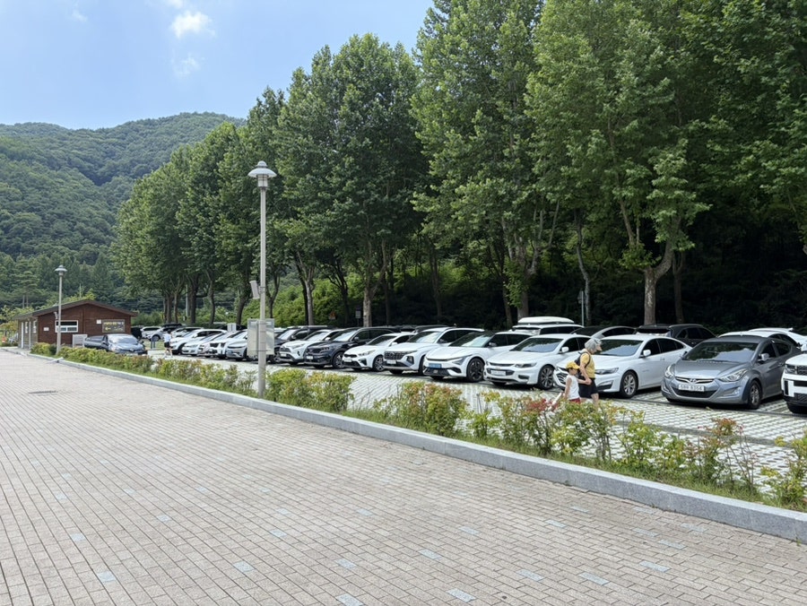 상소동산림욕장 사진 1