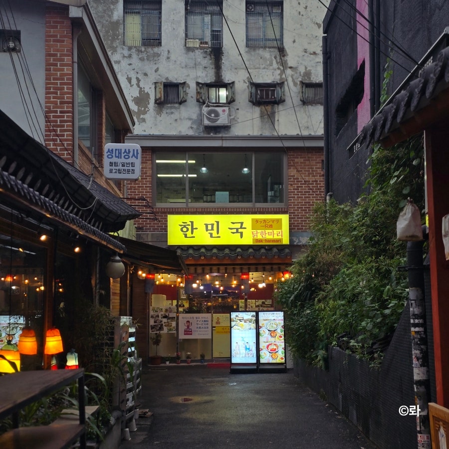 한민국닭한마리 사진 3
