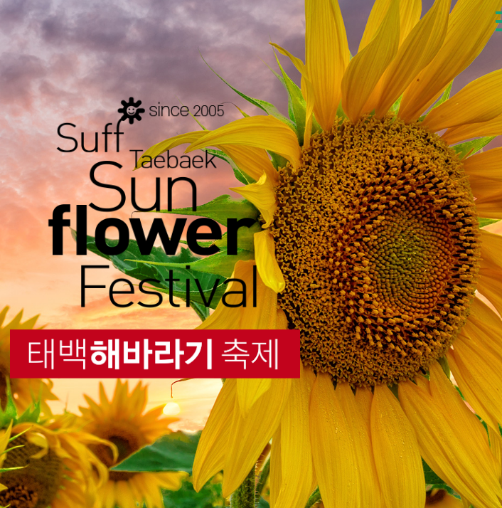 카페꽃담은 사진 2