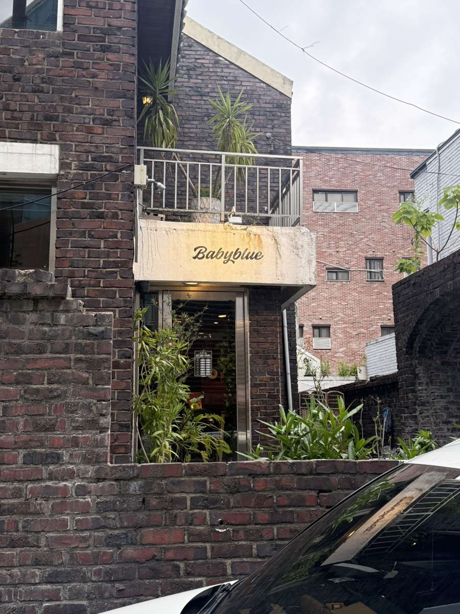 베이비블루 사진 1